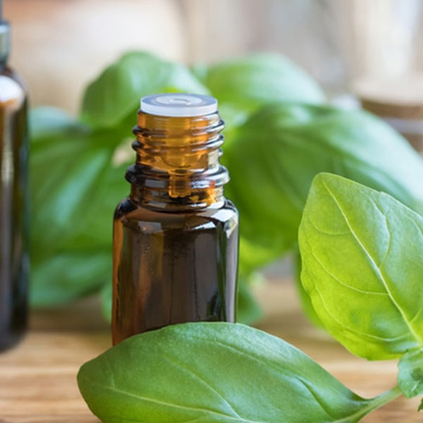 Basil-Oil2
