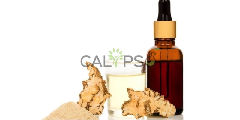 Angelica Root Oil