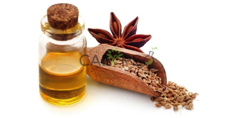 Aniseed Oil