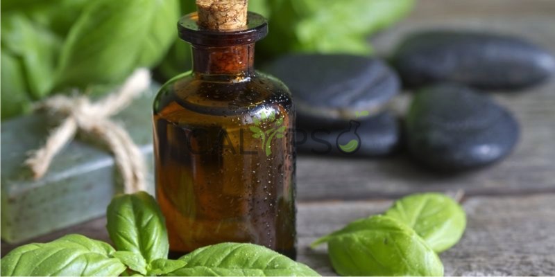 Basil Oil