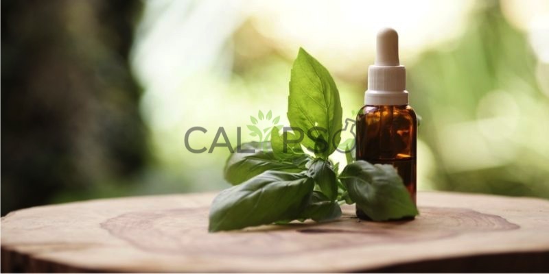 Basil Oil