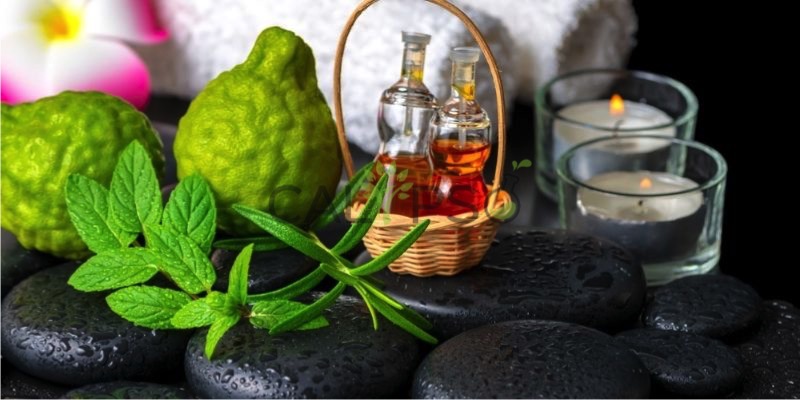Bergamot Mint Oil