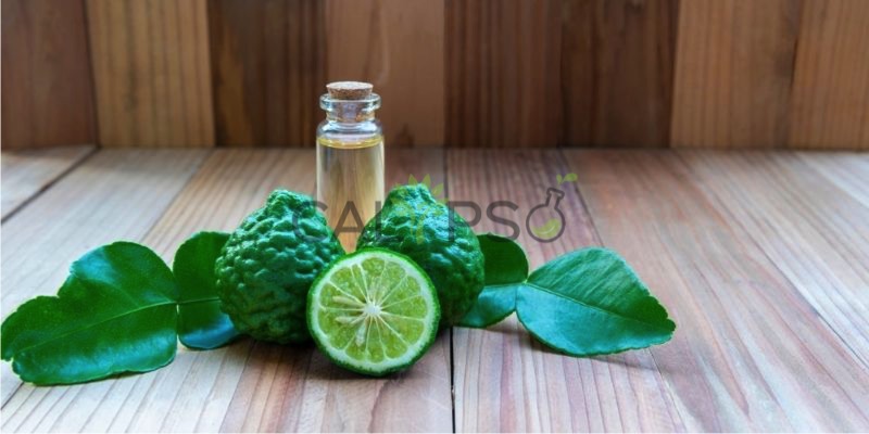 Minyak Bergamot