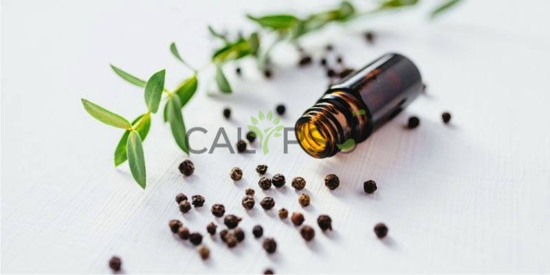 Black Pepper Oil