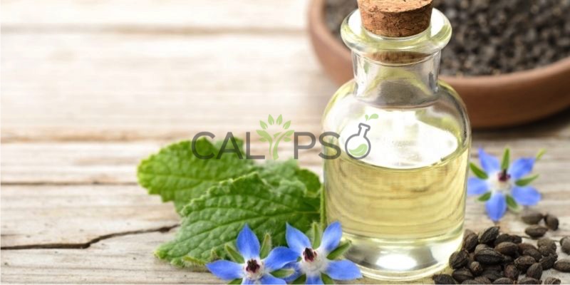 Borage Carrier Oil