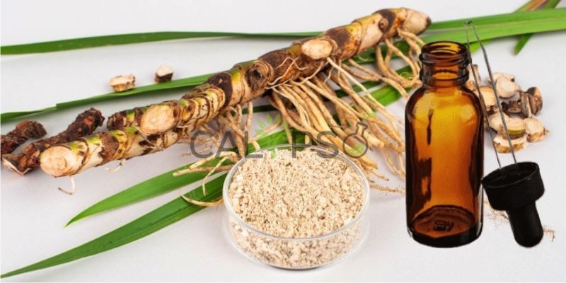 Calamus Oil