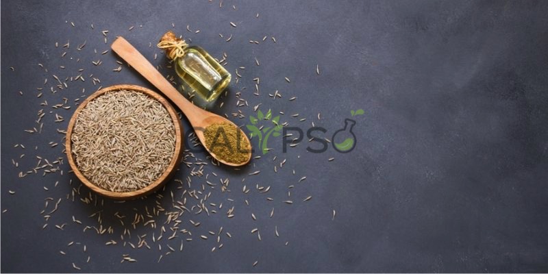 Caraway Oil