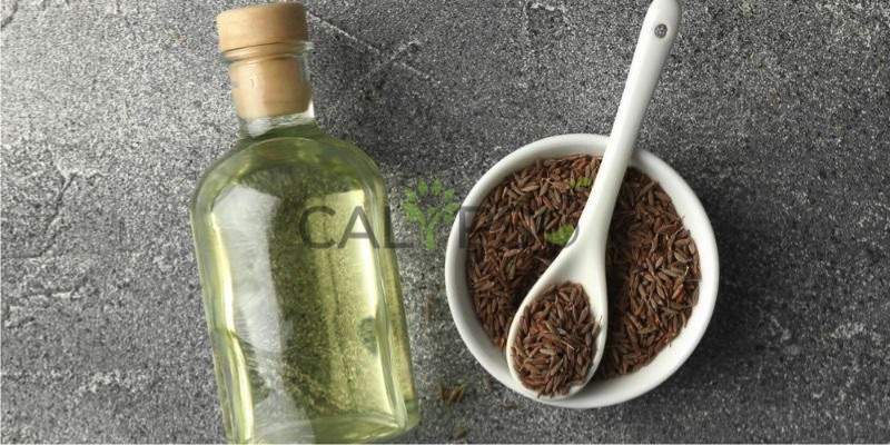 Caraway Seed Oil