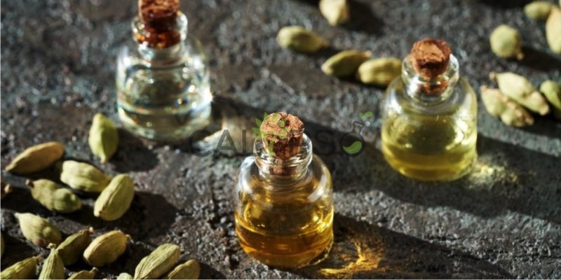 Minyak Kapulaga Ekstra Absolut