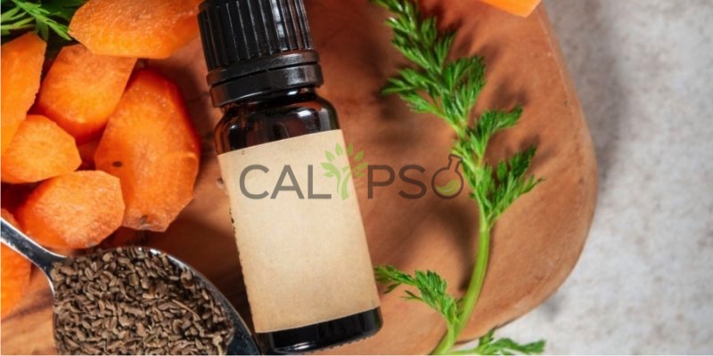 Carrot Seed CO2 Extract Oil