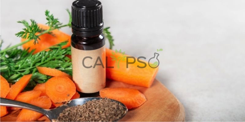Carrot Seed Oil