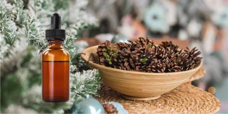 Cedarwood Himalayan Oil