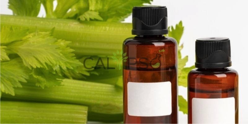 Celery Oil