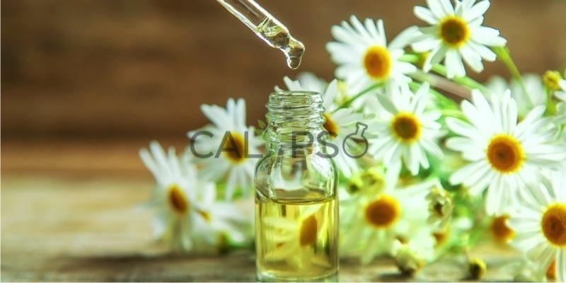 Chamomile Oil
