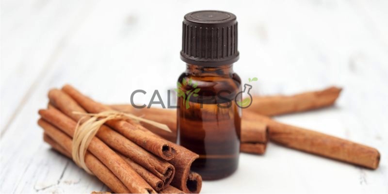 Cinnamon Bark Oil