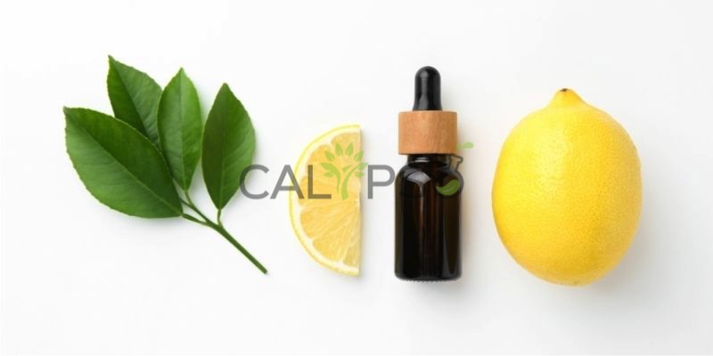 Citurs Oil