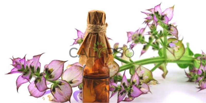 Clary Sage Oil