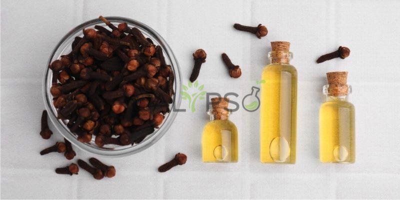 DầU ChiếT XuấT Đinh Hương Co2