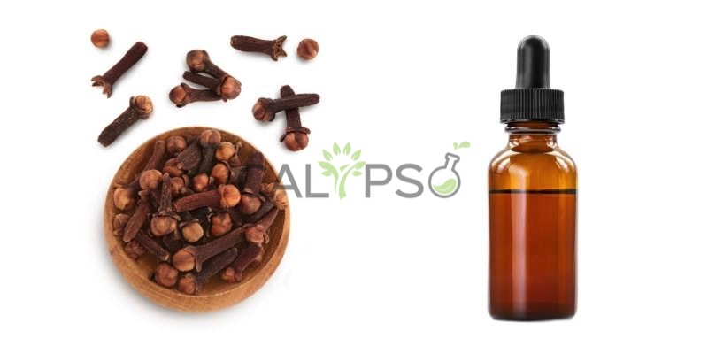 Clove Bud Oil