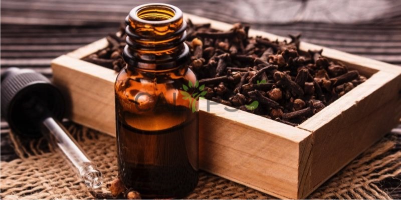 Clove Oil