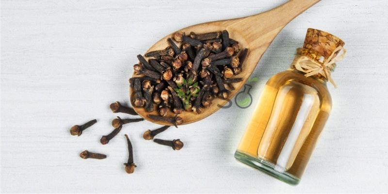 Clove Oil