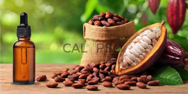 DầU Cacao Nguyên ChấT