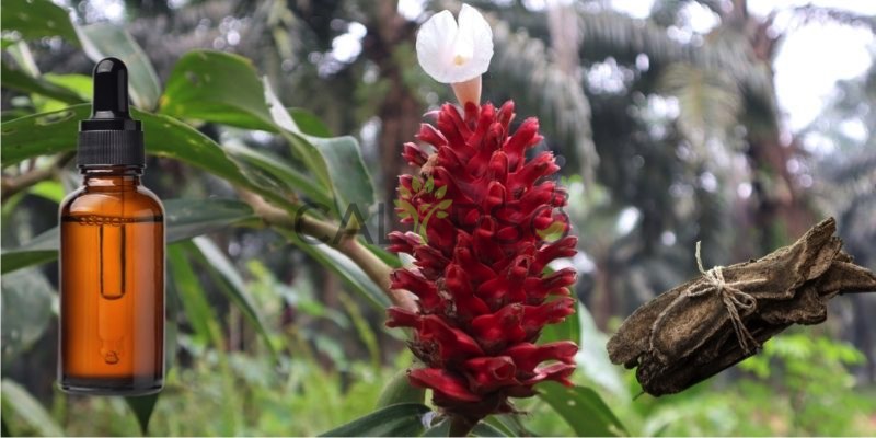 Costus Root Oil
