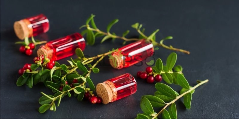 Cranberry Oil