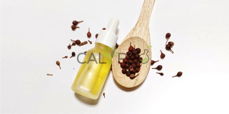 Cubeb Oil
