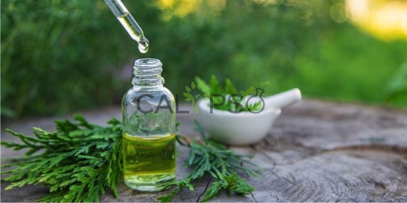 Cypress Oil
