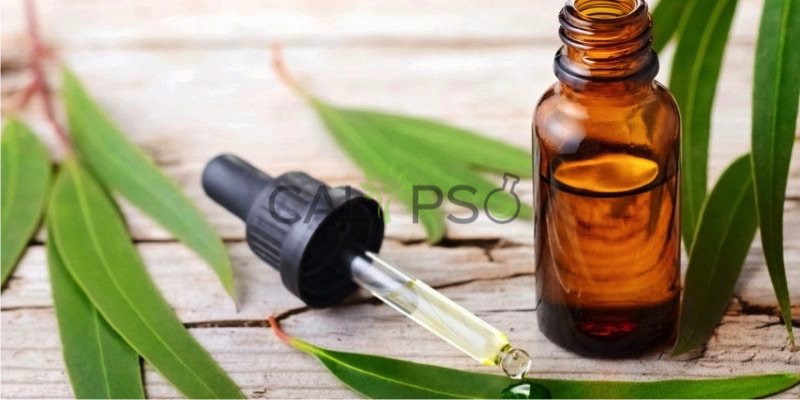 Eucalyptus Oil