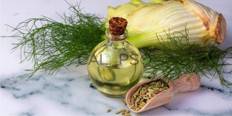 Fennel Oil