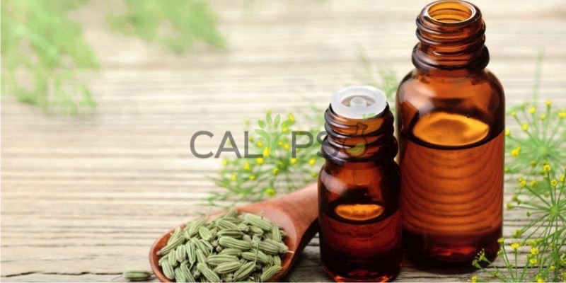 Fennel Oil