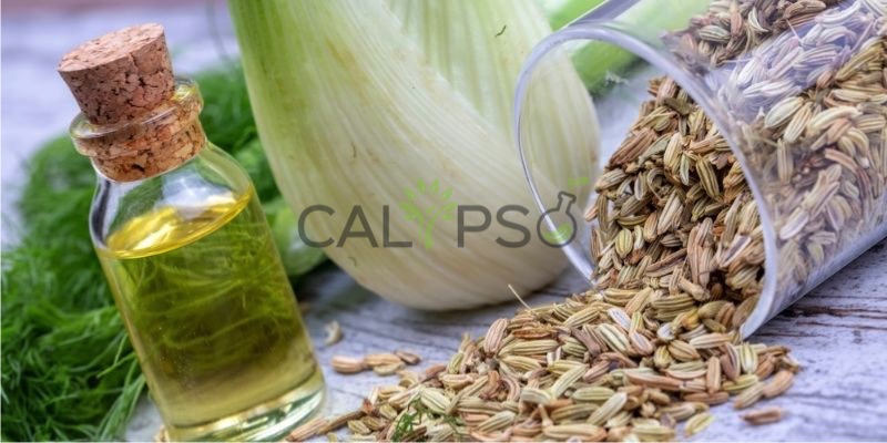 Fennel Oil