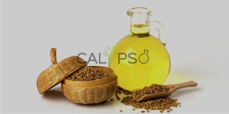 Fenugreek Oil