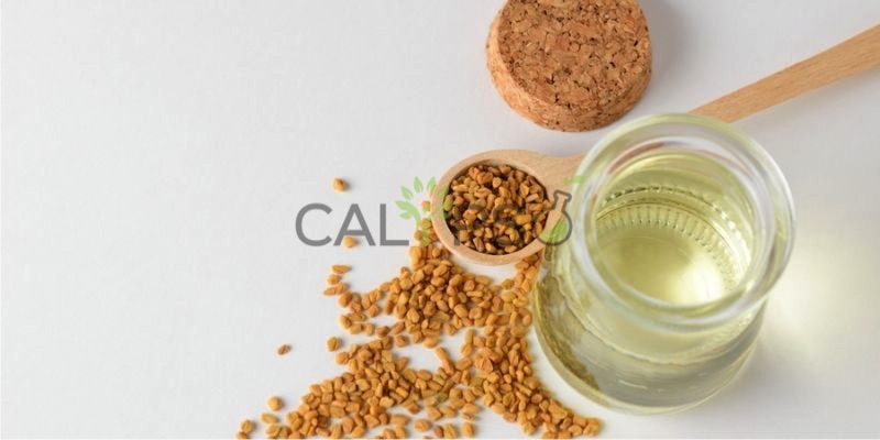 Fenugreek Oil