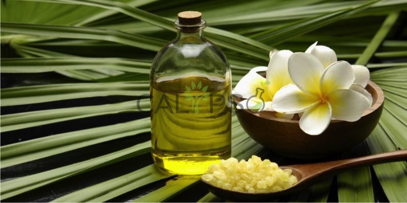 Frangipani Oil