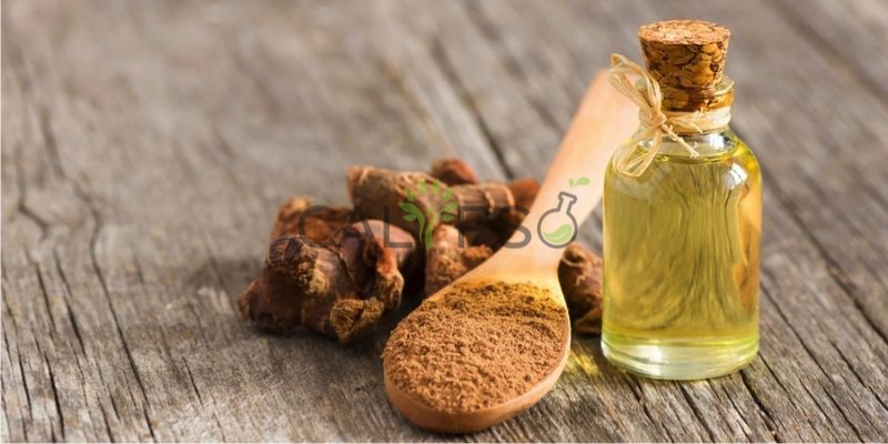 Galangal Oil
