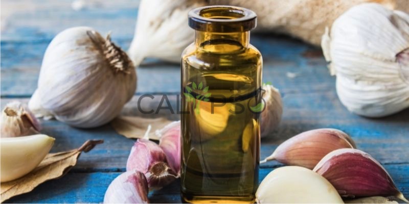 Minyak Ekstrak Co2 Bawang Putih