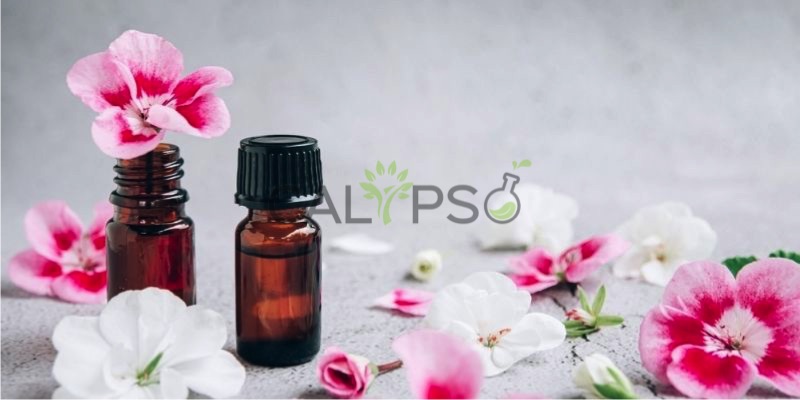 Geranium Oil