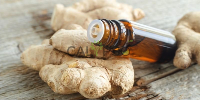 Ginger Oil