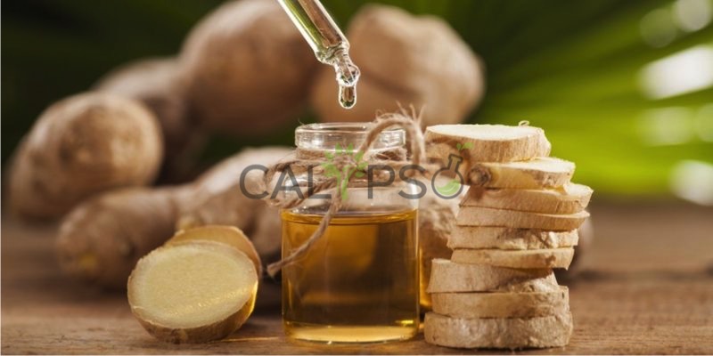 Ginger Oil