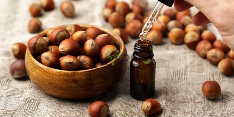Hazel Nut Oil