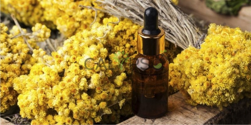 Helichrysum Abs. Minyak