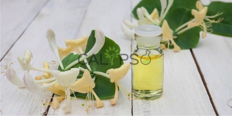 DầU Nguyên ChấT Kim Ngân Hoa