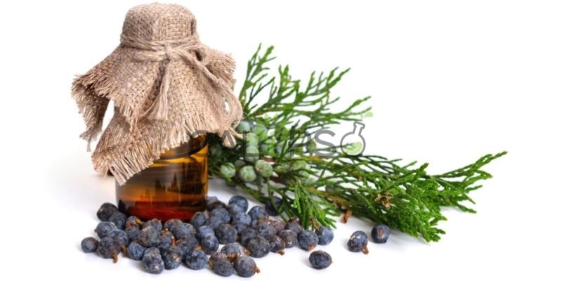 Juniperberry Oil