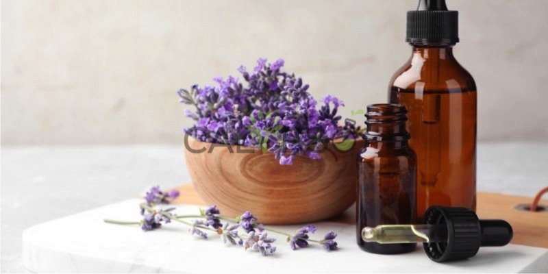 Minyak Absolut Lavender