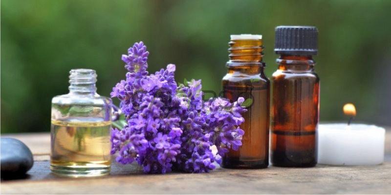 Lavender Oil