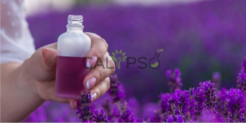 Minyak Lavender