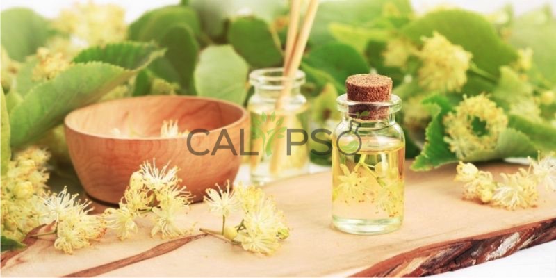 Linden Blossom Absolute Oil